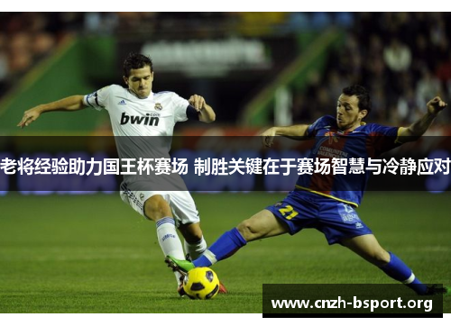 老将经验助力国王杯赛场 制胜关键在于赛场智慧与冷静应对