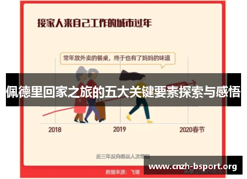 佩德里回家之旅的五大关键要素探索与感悟