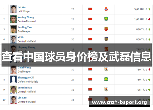 查看中国球员身价榜及武磊信息