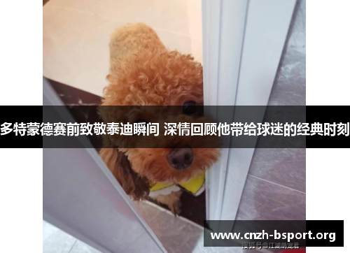 多特蒙德赛前致敬泰迪瞬间 深情回顾他带给球迷的经典时刻
