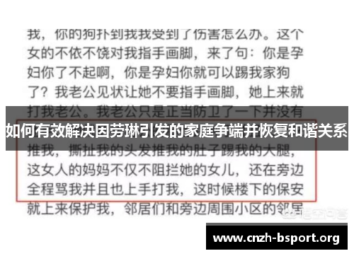 如何有效解决因劳琳引发的家庭争端并恢复和谐关系