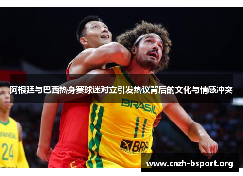 阿根廷与巴西热身赛球迷对立引发热议背后的文化与情感冲突